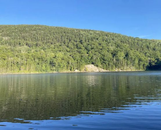 Little Rock Pond Shelter