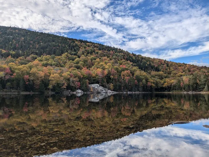 Little Rock Pond Shelter 1