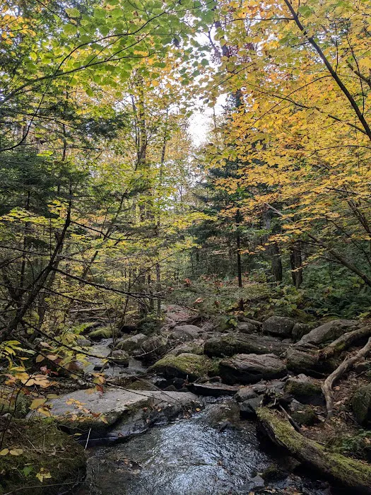 Little Rock Pond Shelter 3