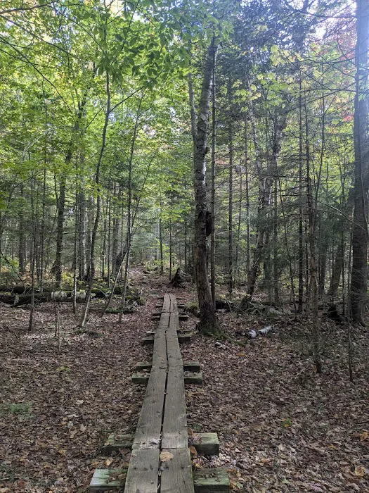 Little Rock Pond Shelter 6