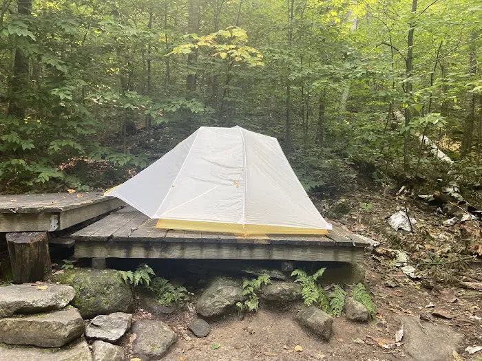 Little Rock Pond Shelter 4