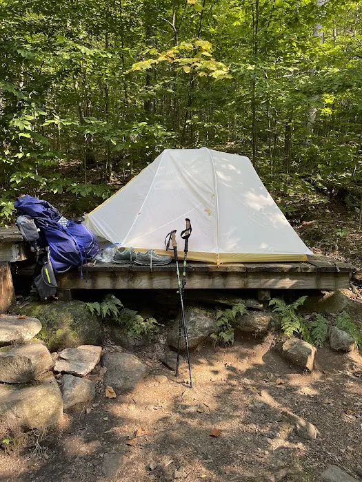 Little Rock Pond Shelter 5