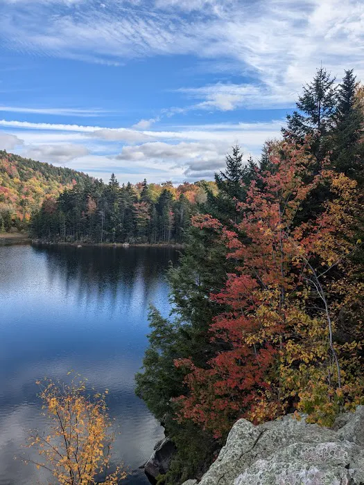 Little Rock Pond Shelter 7