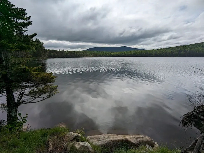Stratton Pond Tenting Area 4