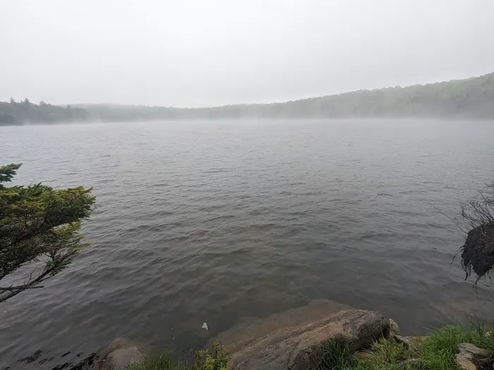 Stratton Pond Tenting Area 1