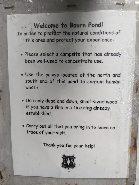 Bourne Pond Tenting Area 0