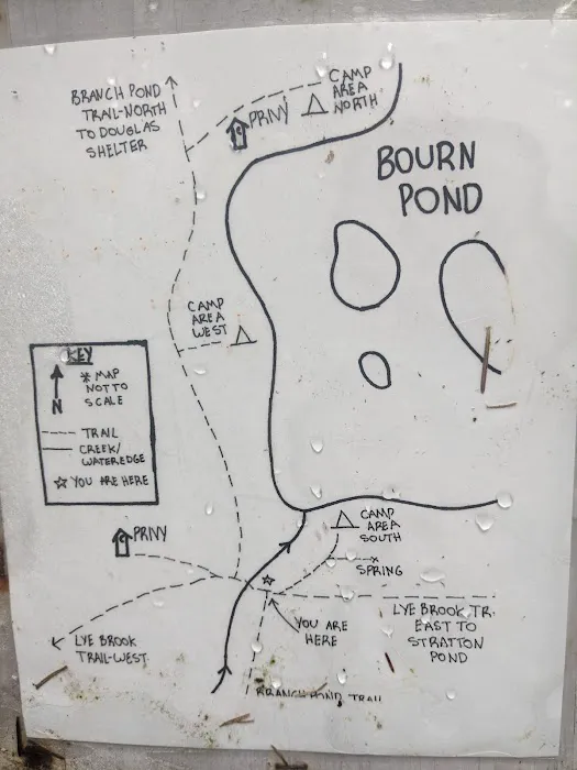 Bourne Pond Tenting Area 1