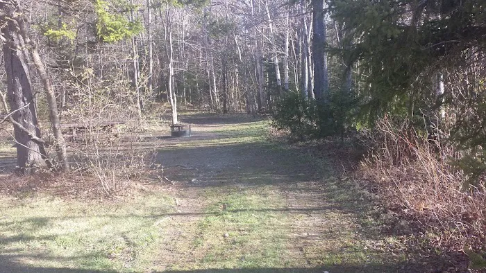 Grout Pond Recreation Area 8