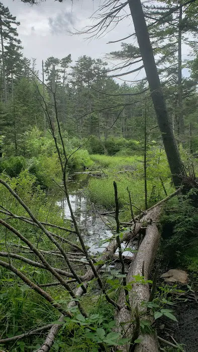Grout Pond Recreation Area 4