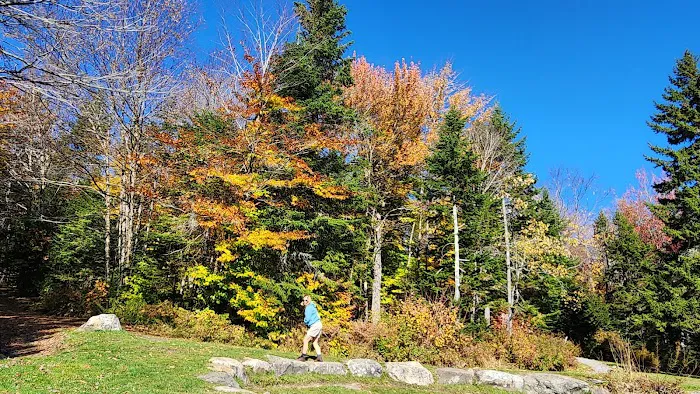 Grout Pond Recreation Area 6