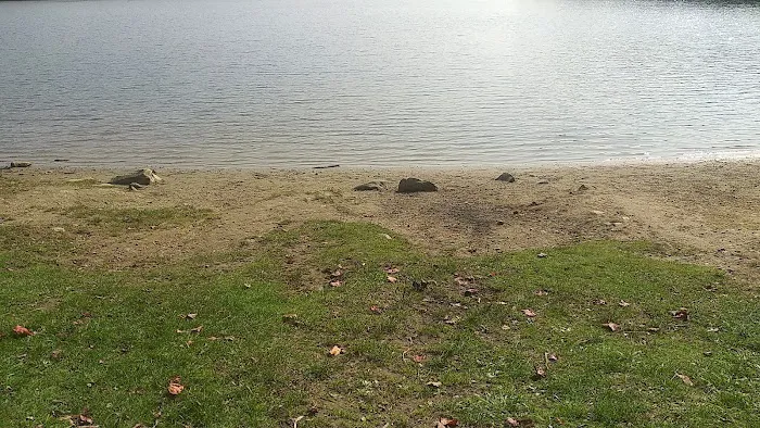 Grout Pond Recreation Area 5