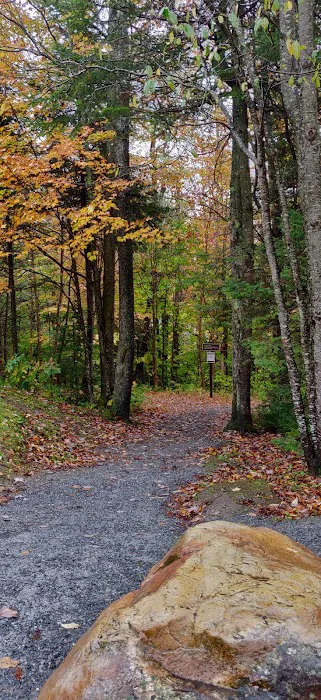 Grout Pond Recreation Area 0
