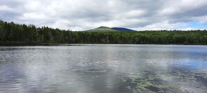 Grout Pond Recreation Area 1