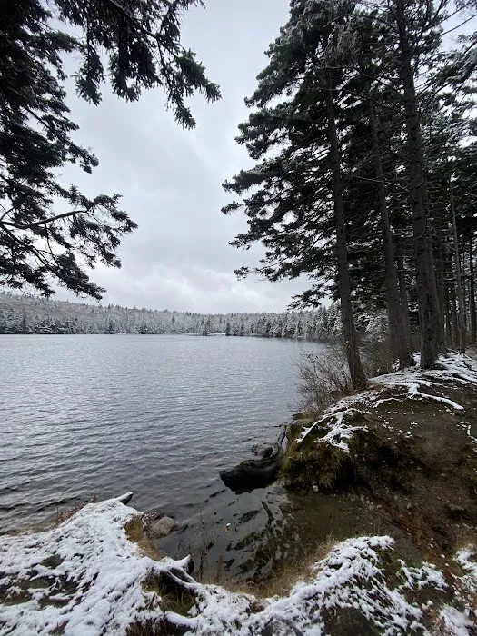 Grout Pond Campsites 0