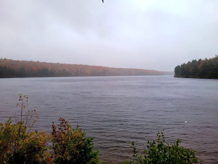 Grout Pond Campsites 3