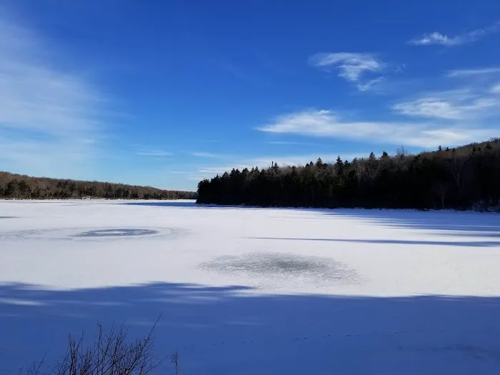 Grout Pond Campsites 9