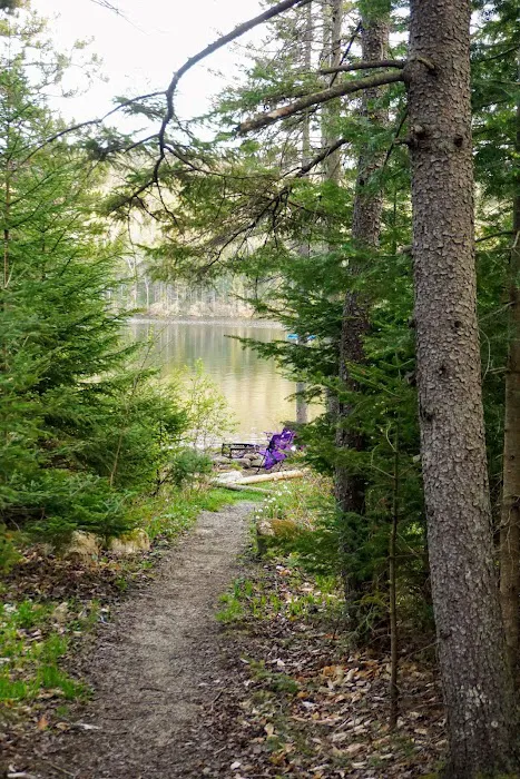 Grout Pond Campsites 6