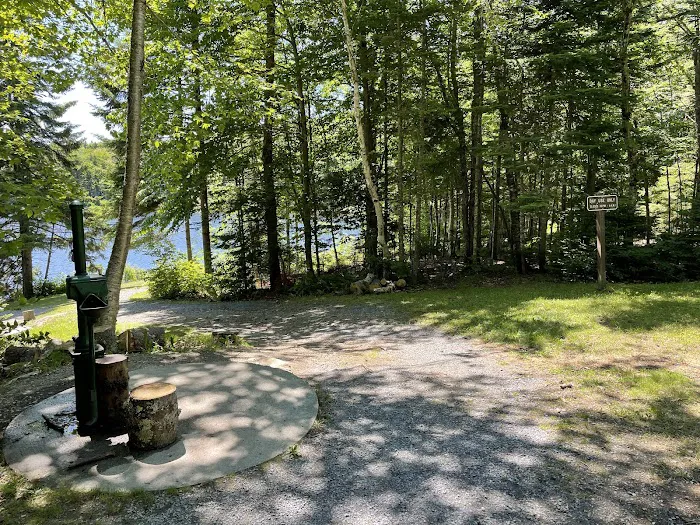 Grout Pond Campsites 8