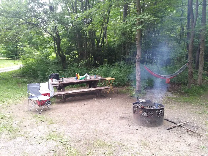 Grout Pond Campsites 5