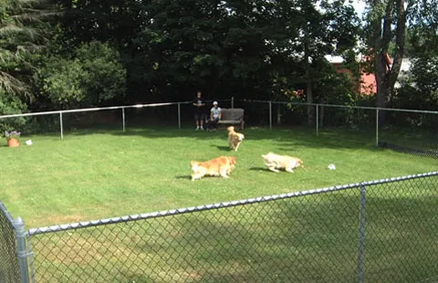 Brattleboro North KOA Journey 6