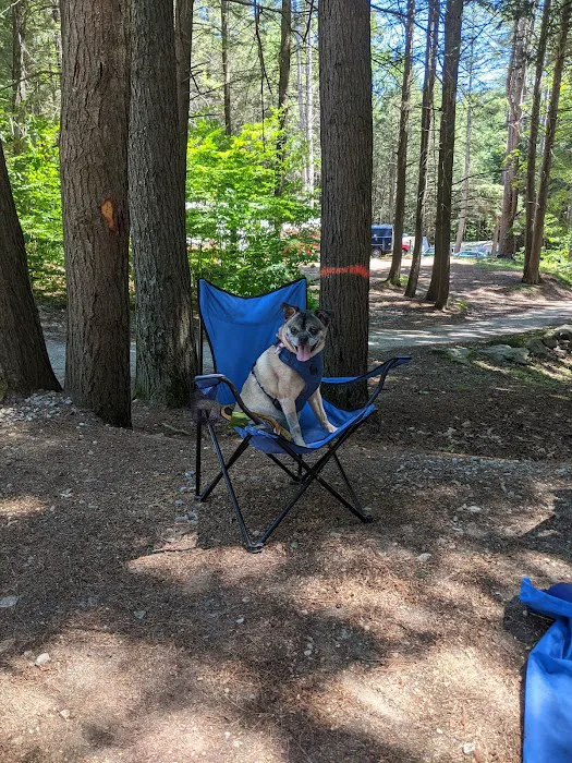 Kenolie Village Campground 2