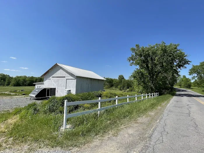 The Barn at Willow's Hollow 7