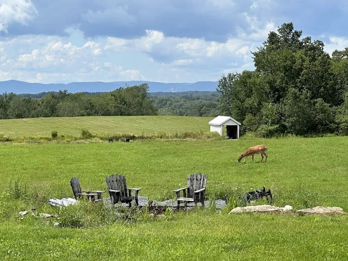 The Barn at Willow's Hollow 6