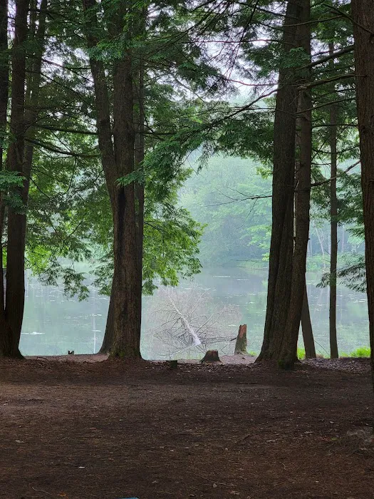 Girl Scout Camp Woodhaven 2