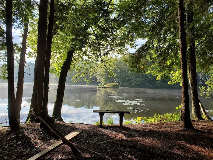 Girl Scout Camp Woodhaven 5