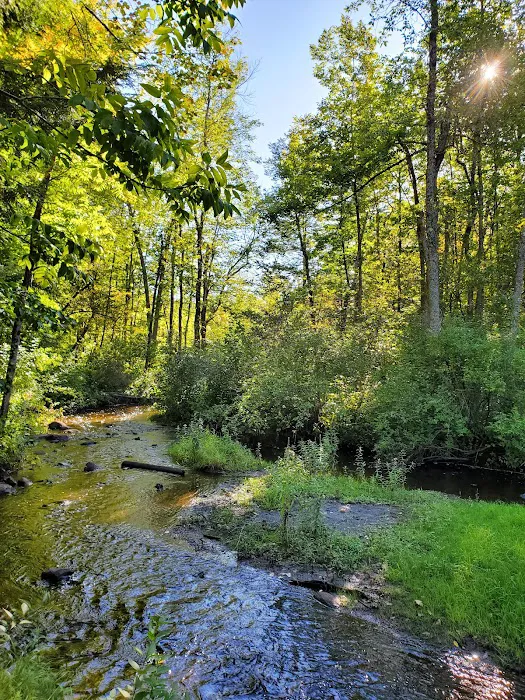 Girl Scout Camp Woodhaven 6