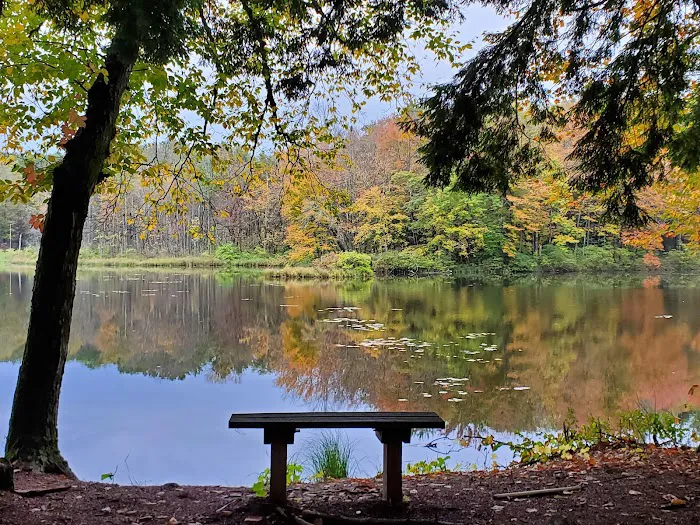 Girl Scout Camp Woodhaven 9