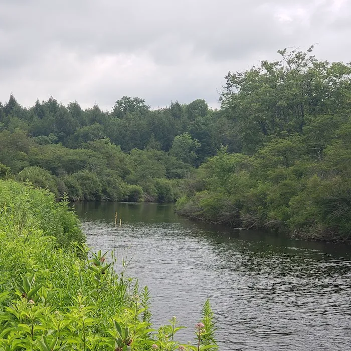 Spruce Creek Campground 5