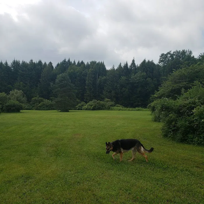 Spruce Creek Campground 4