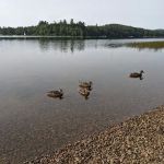 Point Comfort Campground