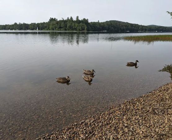 Point Comfort Campground