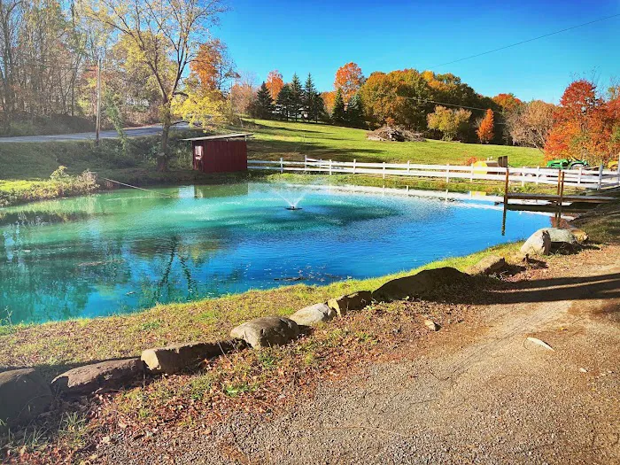 Shadow Hills Farm 1