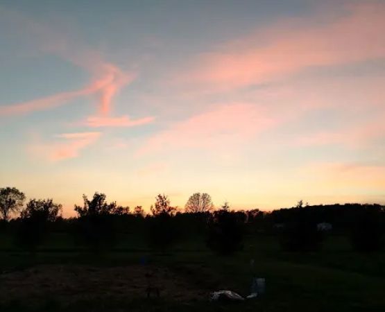 Noble Homestead & Camps