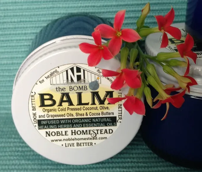Noble Homestead & Camps 2
