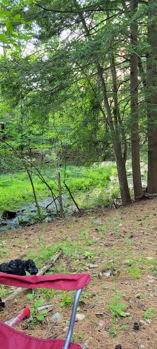 Waterfalls Campsite 4