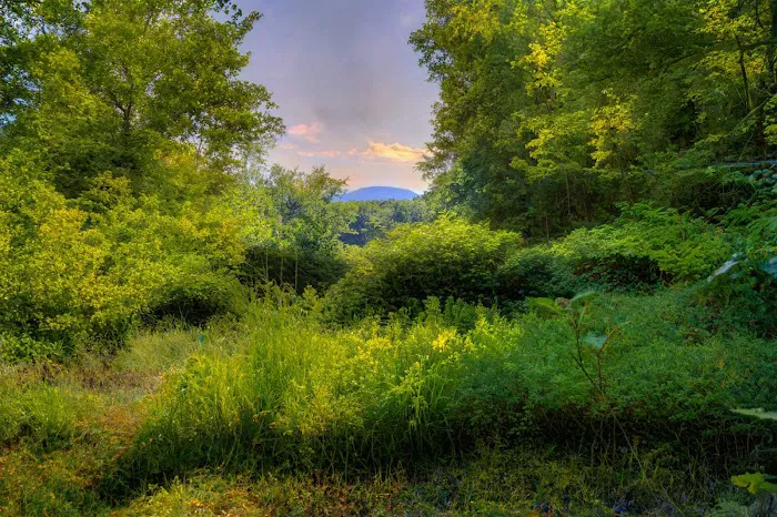 Wild Hudson Valley 2