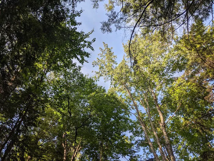Moffitt Beach State Campground 6