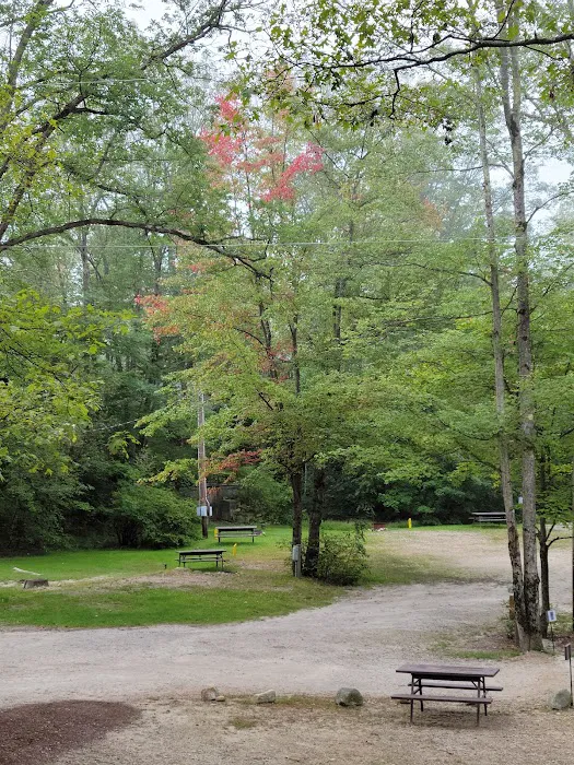 Keyser Pond Campground 9
