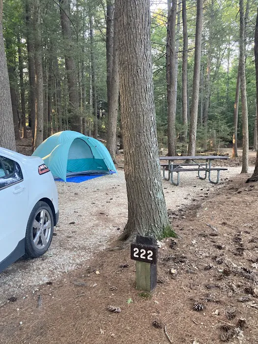 Neal’s Cove Campground 3