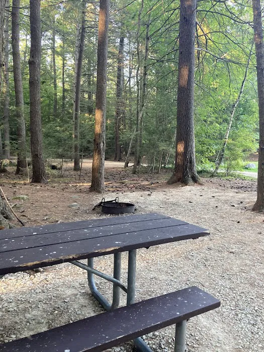 Neal’s Cove Campground 8