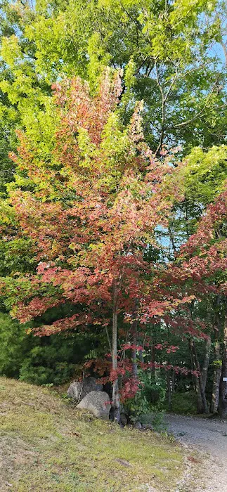 Barrington Shores Campground 3