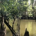 Barrington Shores Campground