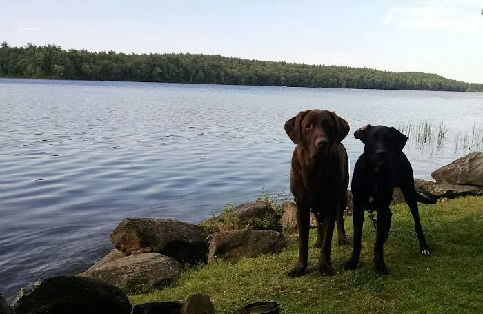 Ayers Lake Farm Campground & Cottages 7