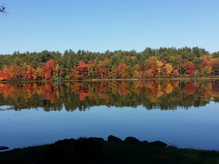 Ayers Lake Farm Campground & Cottages 4