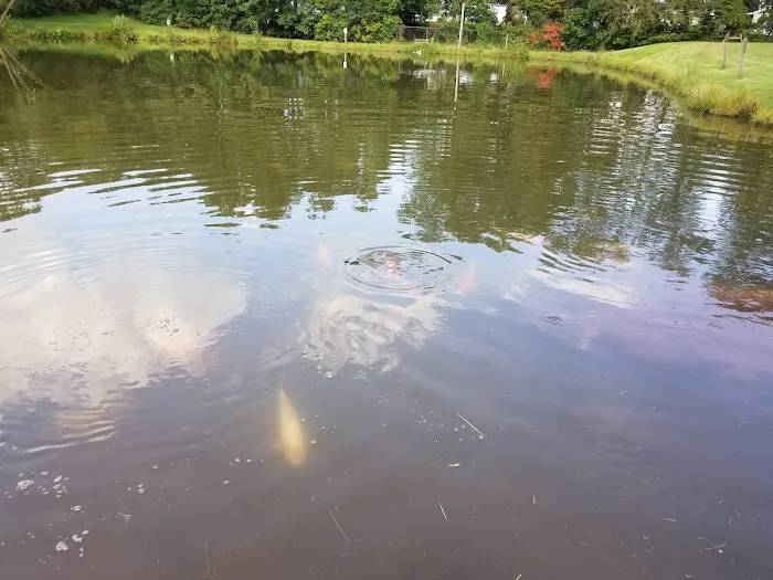 Hershey Conewago Campground 0