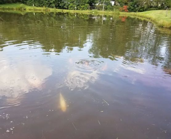 Hershey Conewago Campground
